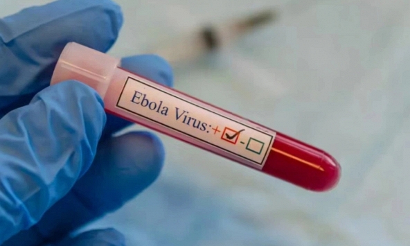 WHO tuyên bố tình trạng khẩn cấp do dịch Ebola chủng mới, Bộ Y tế Việt Nam khuyến cáo