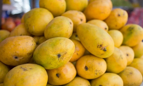 Lời khuyên khi mua xoài