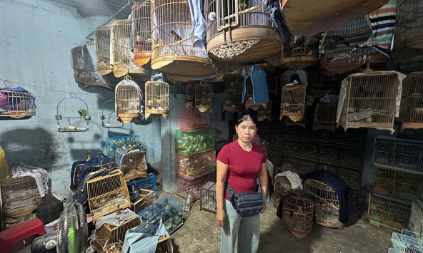 Bắt tạm giam trạm trưởng trạm kiểm lâm Nguyễn Văn Lời và chủ hộ kinh doanh Trương Thị Kim Hà