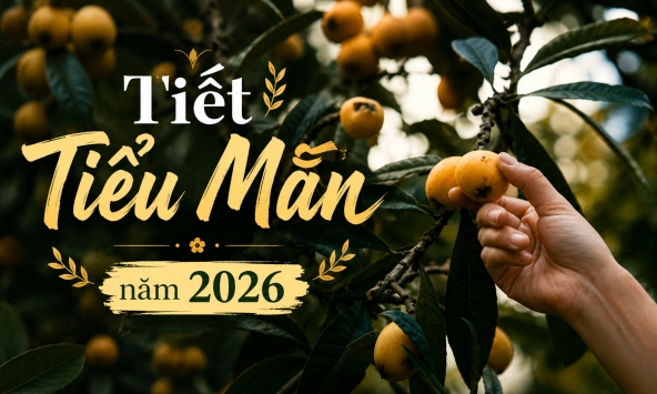 Tiết Tiểu Mãn bắt đầu ngày 21/5 ai cũng nghe nhưng ít người hiểu: 'Can điền khai liệt' là điềm gì mà người xưa sợ đến vậy?