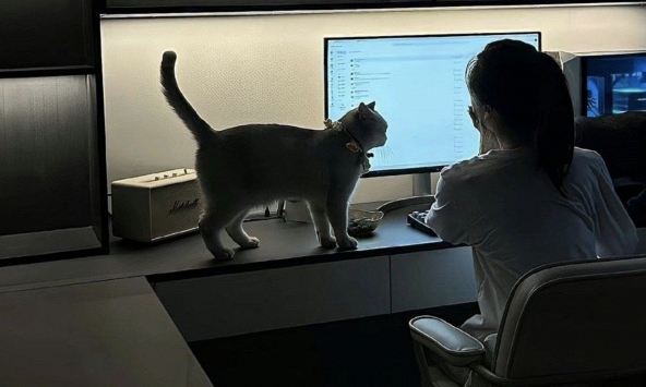 3 kiểu nhắn tin công việc tố cáo bạn là người có EQ bằng 0