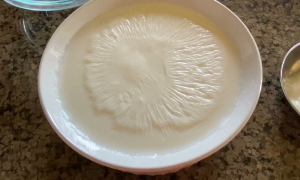 Nữ bác sĩ Nhật giảm 15kg nhờ kiểu ăn sữa chua 'lạ đời'