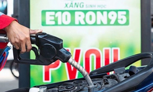 Xăng E10 phù hợp với dòng xe nào tại Việt Nam?