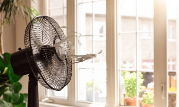 Loại quạt nào tốn điện nhất? Lời khuyên để dùng quạt điện mát không kém điều hòa mà vẫn tiết kiệm, tốt cho sức khỏe