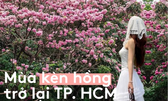 Sống ở TP.HCM hơn 10 năm mới thấy mùa kèn hồng 'ngang ngược' thế này, bảo sao ai cũng rần rần xách máy lên phố!