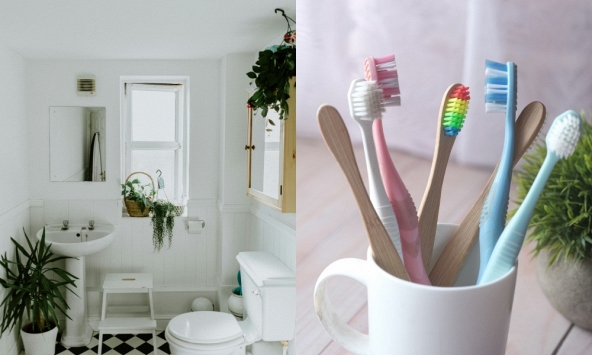 Nhiều gia đình đang để bàn chải đánh răng kiểu này mà không biết: Chuyên gia cảnh báo có nguy cơ “nuôi ổ vi khuẩn” ngay trong nhà tắm