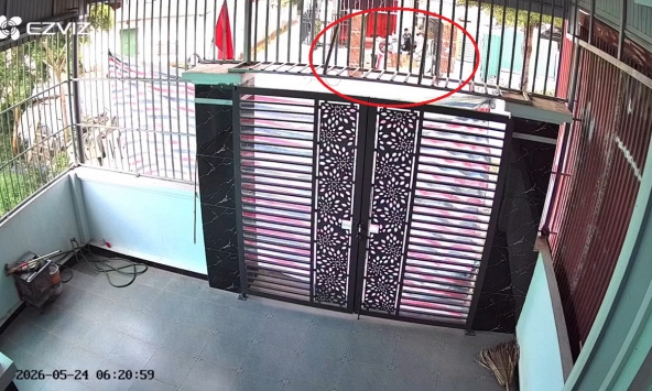 Ngủ dậy thấy cổng bị che bạt kín, người phụ nữ Thanh Hóa vội xem camera thì phát hiện sự thật xúc động