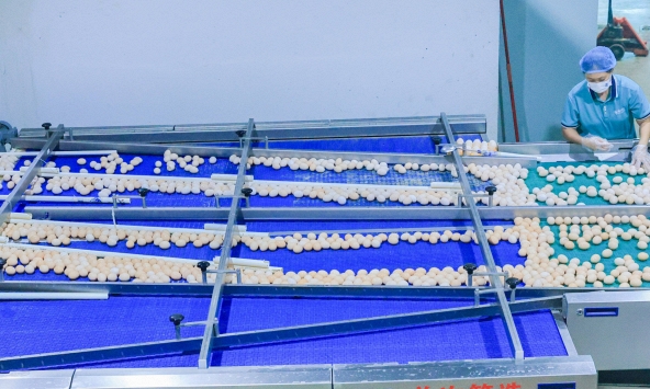 Phát hiện 1 nhà máy trứng sản xuất gần 900.000 quả/ngày: Trứng “không chạm đất” từ lúc đẻ tới lúc bán