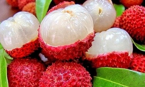 Lời khuyên khi mua vải