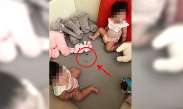 Tá hỏa khi thấy con trai 9 tháng tuổi cho gián vào miệng nhai, mẹ chỉ kịp lấy ra một chiếc chân gián