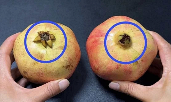Mua lựu đừng chọn bừa: 6 mẹo nhìn phát biết quả nhiều hạt, mọng nước, ngon ngất trời