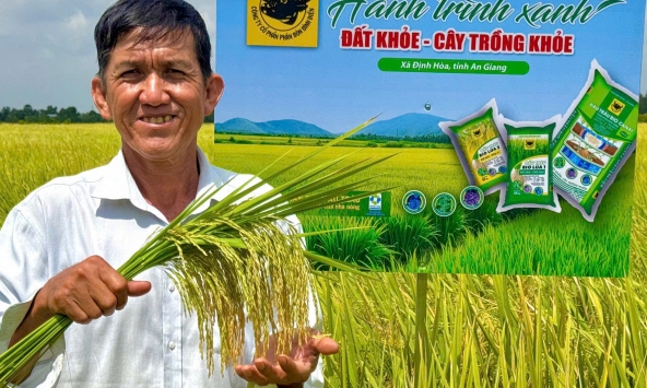 Đất khỏe hôm nay, mùa vàng ngày mai