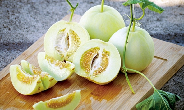 Dưa lê đang vào mùa ngon nhất năm: Ăn mát, ngọt thơm nhưng có những 'đại kỵ' không nên xem thường