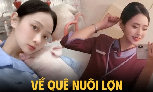Bỏ việc tiếp viên hàng không về quê nuôi lợn, tháng kiếm hơn 300 triệu