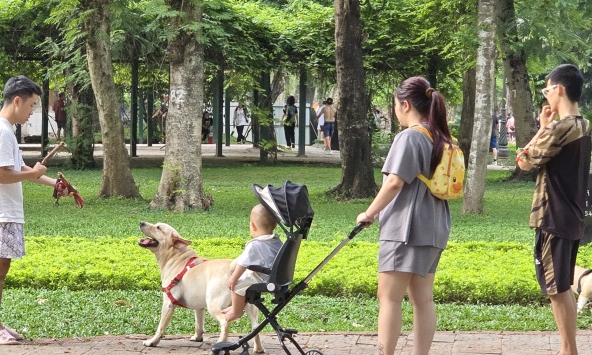 Thông tin quan trọng liên quan đến toàn bộ người nuôi động vật, thú cưng từ 1/8