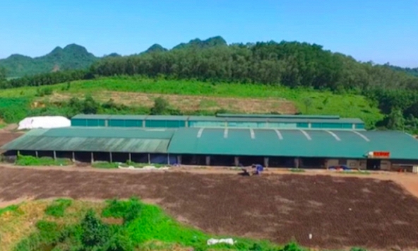 Truy thu thuế và 'bóc' loạt sai phạm tại Công ty Cổ phần Phân bón Lam Sơn