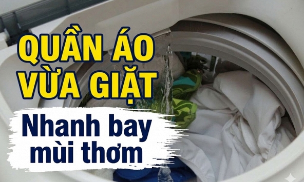 Vì sao quần áo mới giặt xong lại nhanh bay mùi thơm?