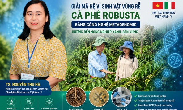 Giải mã “hệ vi sinh vật vùng rễ” cà phê bằng công nghệ Ý: Mở hướng đi mới cho nông nghiệp xanh ở Tây Nguyên