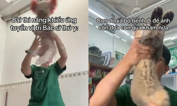 Bác sĩ thú y ở TP.HCM bị cho nghỉ việc sau vụ việc gây phẫn nộ