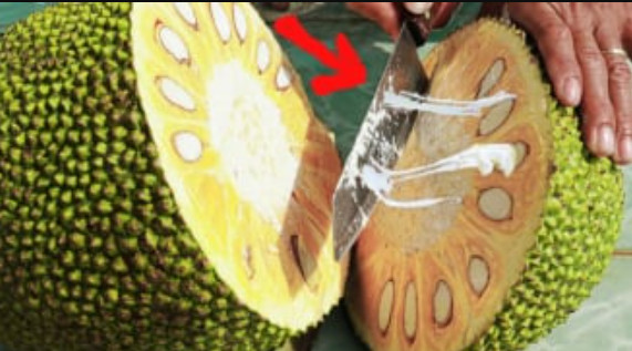Bổ mít mà bôi thêm 1 lớp này, dao trơn tuồn tuột, không lo dính nhựa, lại còn dễ vệ sinh