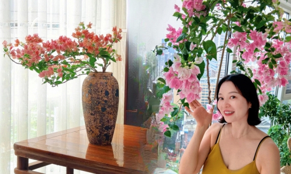 Lời khuyên cho người muốn trồng hoa giấy bonsai trong nhà