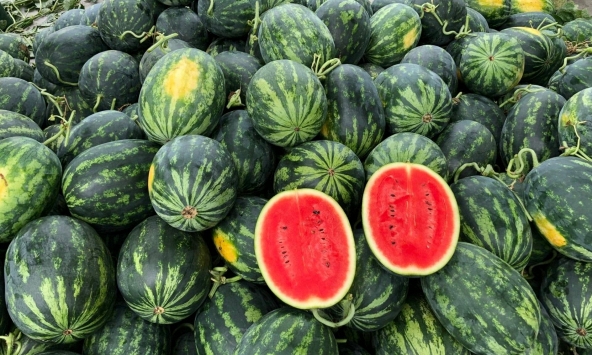 5 lời khuyên khi mua dưa hấu