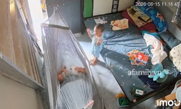 Clip siêu chữa lành: Anh trai 2 tuổi mang cả đàn cò, đàn vịt, đàn ong ra để ru em bé ngủ