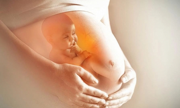 Tế bào của con có thể ở lại trong cơ thể mẹ đến tận cuối đời và còn giúp cơ thể mẹ chữa lành những tổn thương