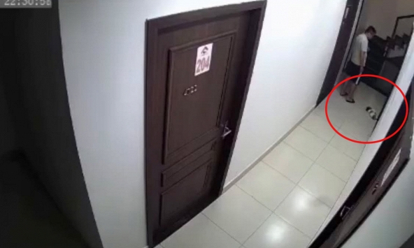 Xôn xao nam thanh niên đá chết chú chó rồi bỏ vào thùng rác chung cư ở Hải Phòng: Người đăng clip lên tiếng