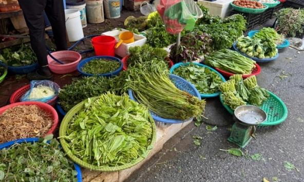 5 loại rau đang đúng mùa, đi chợ thấy là nên mua