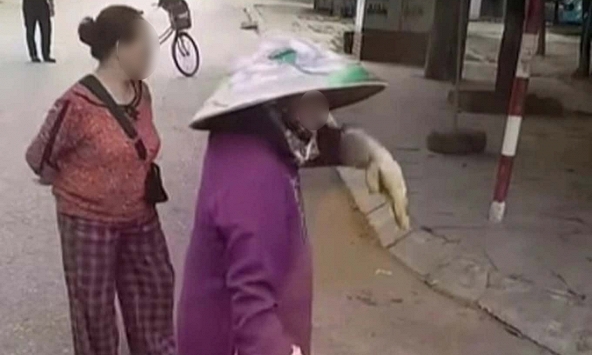 Tài xế dừng xe đón khách ở Sầm Sơn, 2 phụ nữ ra gõ cửa thu tiền: Chính quyền nói gì?
