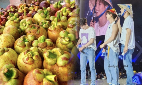 Nữ hoàng trái cây Việt giá 3 triệu/kg khiến khách Hàn lùng sục, làm ông hoàng Kpop mê điên đảo theo
