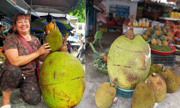 Quả mít nặng 53kg ở Lạng Sơn, cả phố đổ ra xem: Hé lộ giá bán