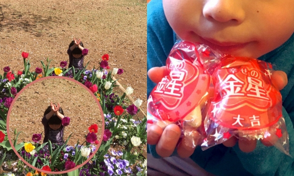Cậu bé 'giả làm hoa tulip để trốn tìm' nổi tiếng khắp thế giới ngày ấy giờ ra sao?