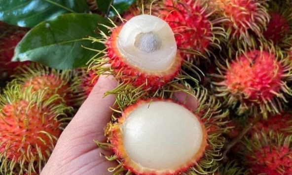 5 loại quả đi chợ nên mua