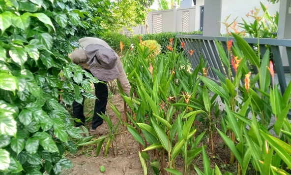 Lời khuyên để tránh rắn bò vào nhà