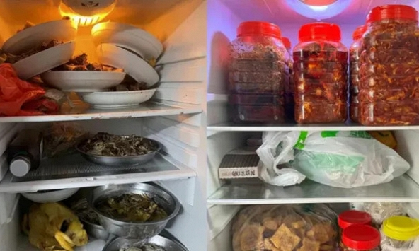 4 loại thực phẩm vứt lăn lóc trong nhà cũng ĐỪNG để trong tủ lạnh: Ngộ độc, ung thư sớm “hỏi thăm”