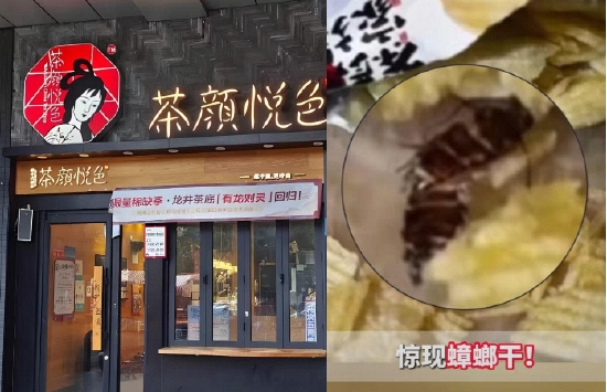 Con gián trong gói khoai tây 9.000 đồng và sai lầm khiến thương hiệu trà sữa hot hit xứ Trung tự thổi bùng khủng hoảng