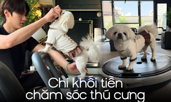 Lương tôi bao nhiêu cũng được, nhưng phải đưa chó đi tập Pilates học phí 1,5 TRIỆU/30 PHÚT, khám sức khỏe 28 TRIỆU/NĂM