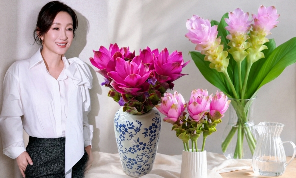 Loài hoa được mệnh danh 'hoa sen nhiệt đới' đang gây sốt: Cắm cả tháng vẫn đẹp, càng ngắm càng thấy bình yên