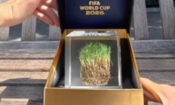 Mảnh cỏ sân chung kết World Cup rao bán từ 12 triệu: FIFA bào tiền fan không trượt phát nào