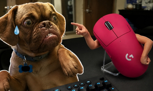 Ví khách hàng như.. cún trên Douyin, nhà phân phối của Logitech bị phạt gần 800 triệu đồng