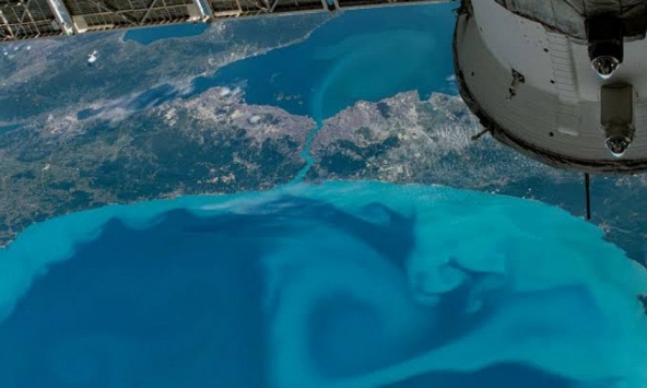 Ảnh hiếm vùng biển đổi màu từ vũ trụ: Vòng xoáy xanh khổng lồ hiện rõ, NASA phải chú ý