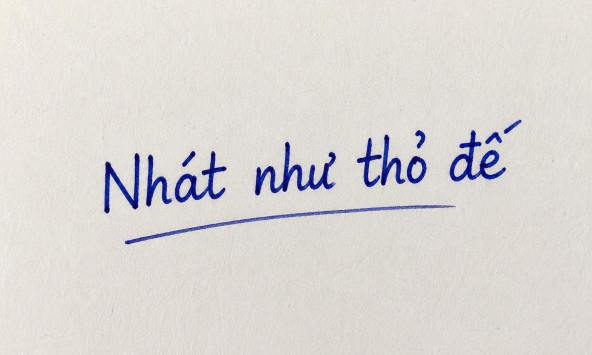 Vì sao gọi là 'nhát như thỏ đế'?