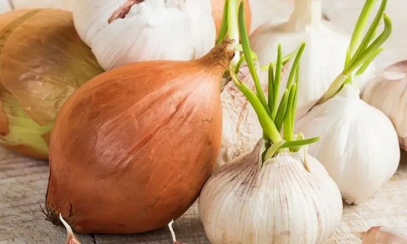 Vì sao hành, tỏi để lâu lại mọc mầm?