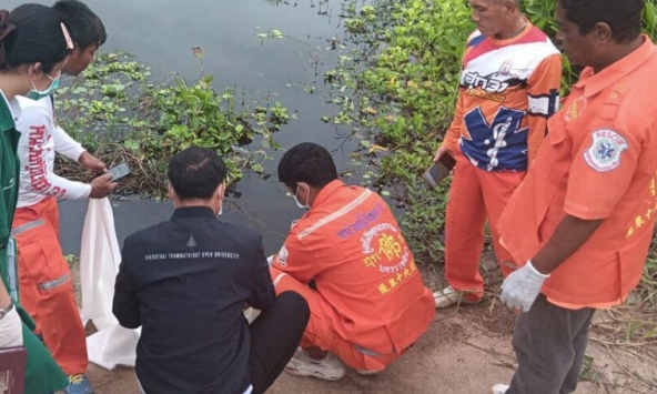 Thấy đàn cá vây quanh túi ni lông dưới chân cầu, người đàn ông kéo lại gần: Nhìn vào liền tái mặt