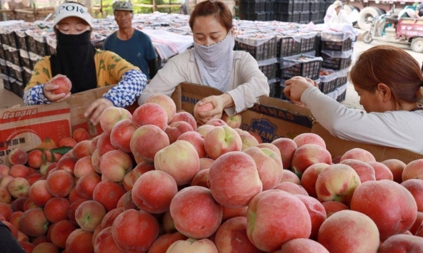 Bé trai làm hỏng 3 quả đào trong siêu thị, cách xử lý của người mẹ được khen 'đáng tiền hơn mọi lớp học kỹ năng'