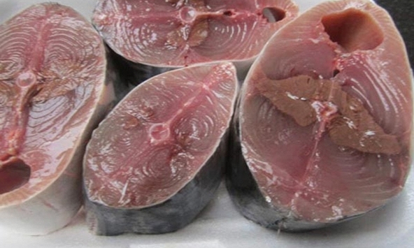 6 loại cá giàu omega-3 bậc nhất