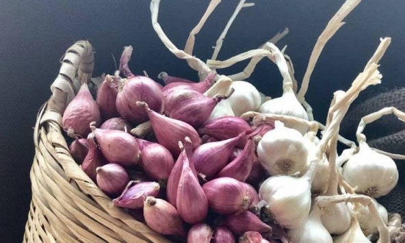 Hành, tỏi nên mua loại màu trắng hay tím?