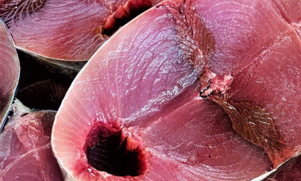 5 loại cá giàu protein bậc nhất
